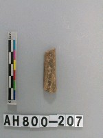 藏品(獸骨殘骸)的圖片